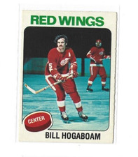 1975-76 O-Pee-Chee #67 Bill Hogaboam VGEX