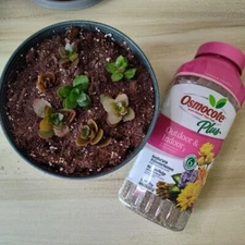 Osmocote Plus Smart-Release Plant Food in a 2lb shaker – Indoor & Outdoor- New 