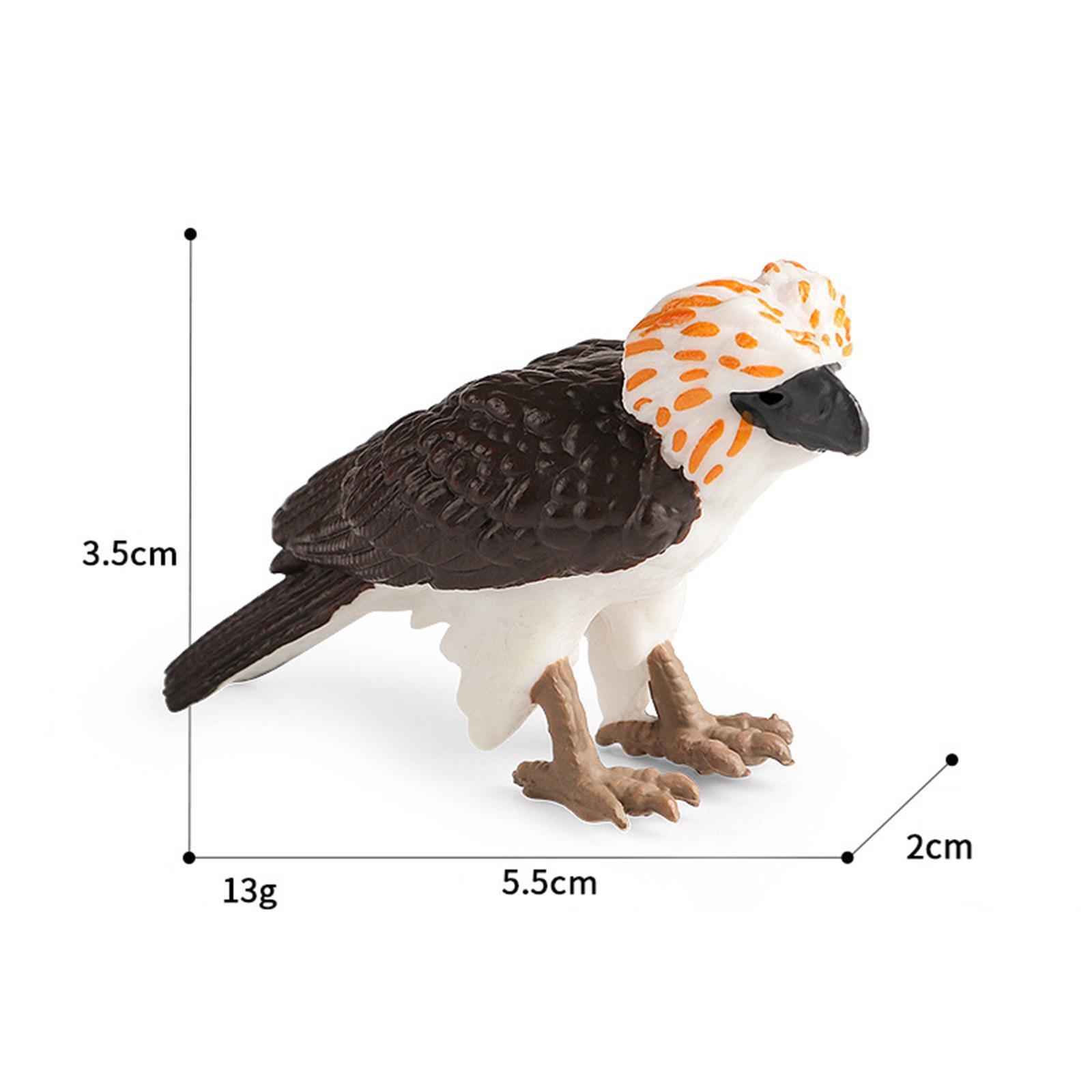 3X Philippine Eagle Toy Figure Bird Figures Toy for Kids Decorations eBay