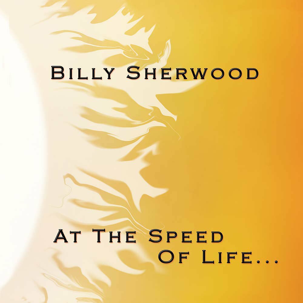 Billy Sherwood - At The Speed Of Life... (2008)  CD  NEW/SEALED  SPEEDYPOST