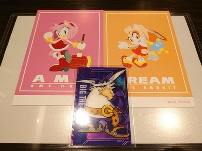 Sonic Animate Postkarte Aurora Art Card Team Rose