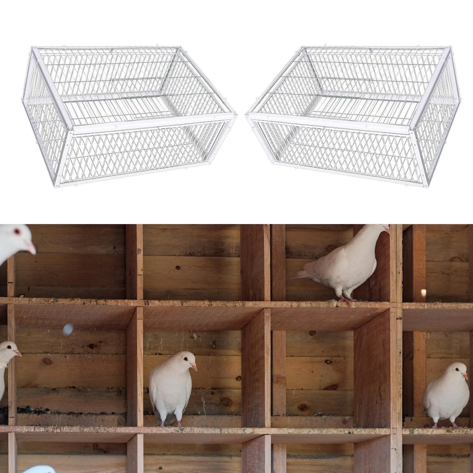 Bird Cage Automatic Pigeon Collector Portable Easy to Assemble Habitat Supplies
Opens in a new windo