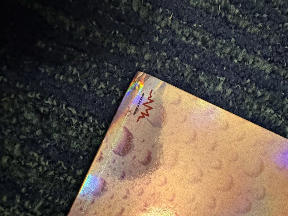 Silversun Pickups Physical Thrills Sky Blue Vinyl Signed Insert - Image 4 of 4