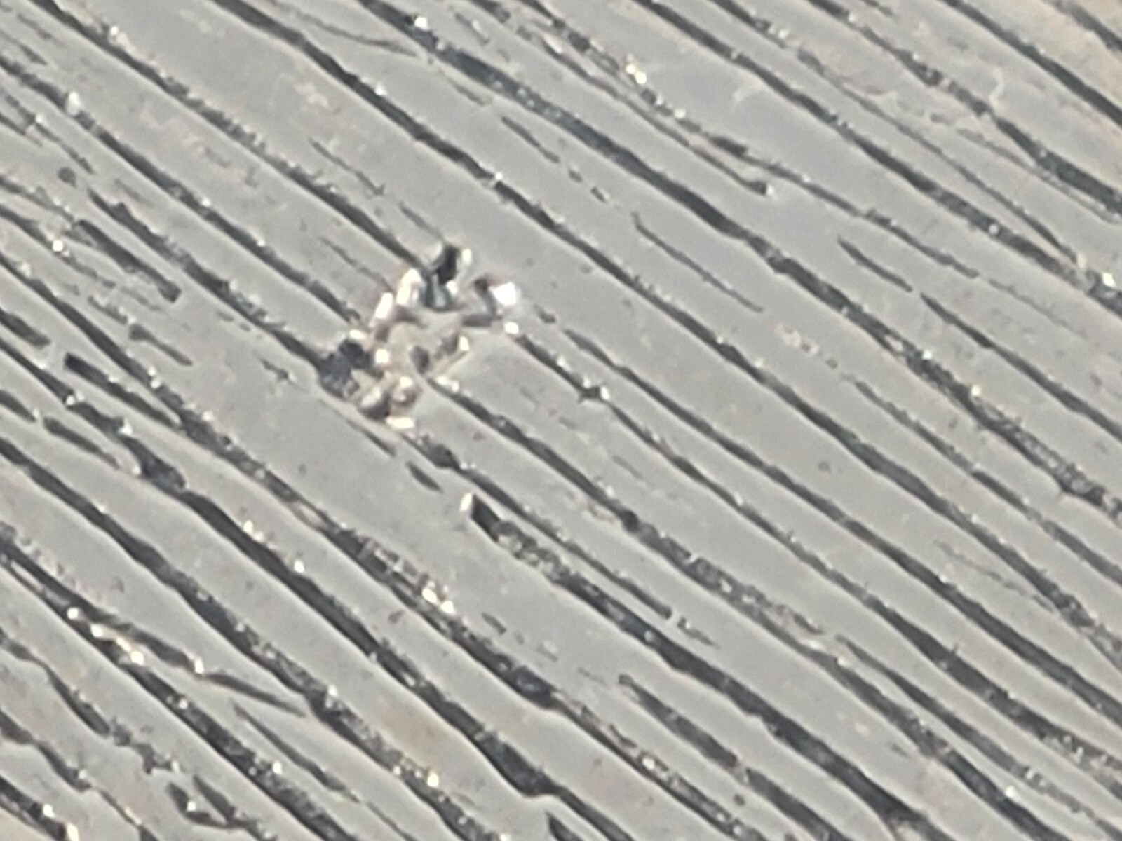 Picture 5 of 8