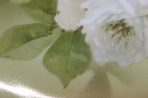 Beautiful Hand Painted Bavarian Porcelain Oval Relish Trinket Dish, Signed, 12" - Picture 13 of 20