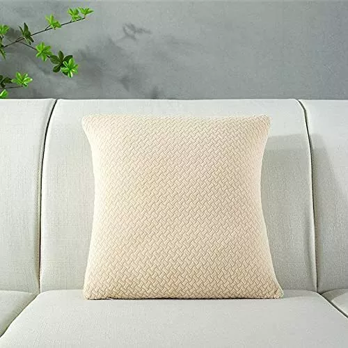 Pillow Covers 18'' Super Soft Decorative Throw Pillows for Couch Bedroom 2  Set