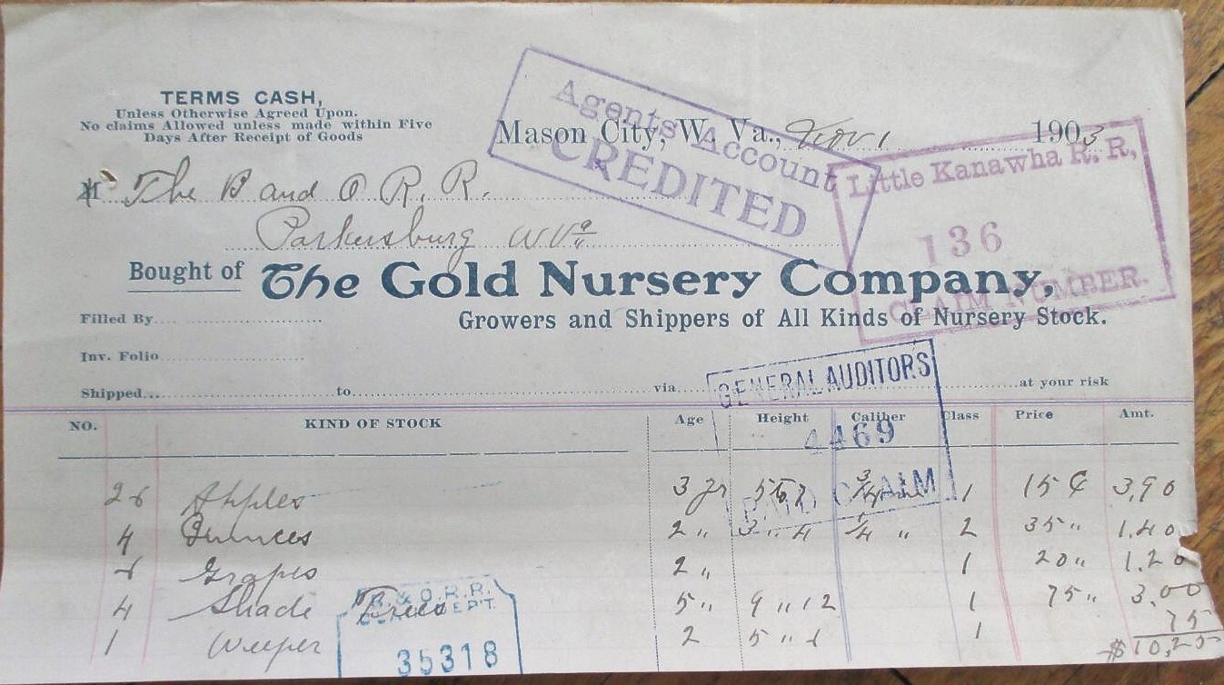 Mason City, WV 1903 Letterhead, Gold Nursery Plant Growers, West