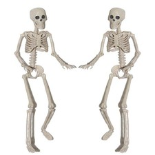 2 PCS Party Supply Photography Props Anatomy Human Skeleton Model Bone Halloween