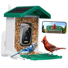 Smart Bird Feeder with Camera, AI Bird Species Identification Solar Green