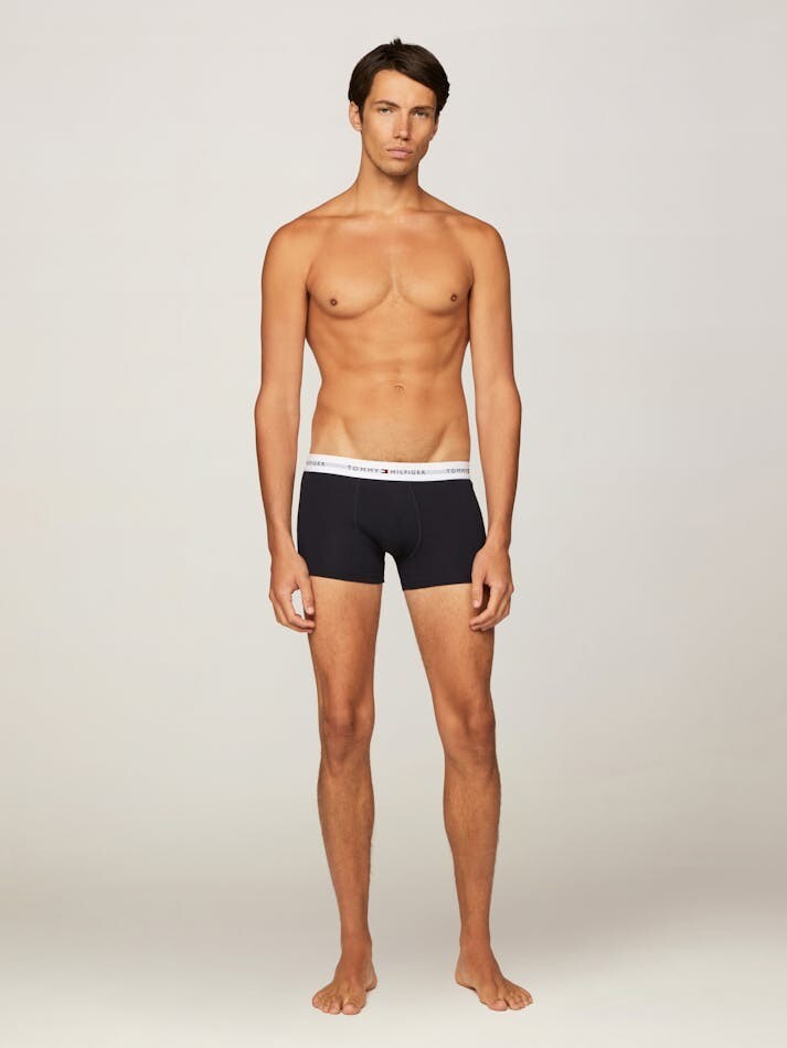 Tommy Hilfiger Signature Cotton Essentials Trunk 3-Pack Rouge Blue White Size L image 7