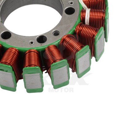Stator Coil For Kawasaki ZX600 Ninja ZX-6R ZX-6RR 2005-2006 ZX636