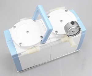 220v Gm 1 0a Lab Oil Free Diaphragm Vacuum Pump Dual Head 60l Min 642940623897 Ebay