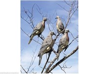 Lucky Duck Clip-on Dove Decoy Polymer Pack Of 4 Lucky Duck Clip-on Dove Decoy Polymer Pack Of 4