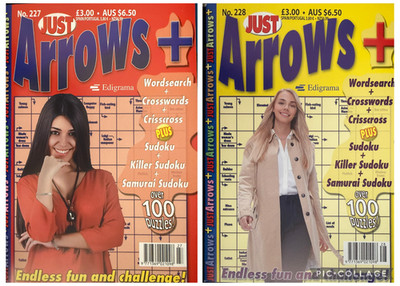 2 x Just Arrows Puzzle Books Magazines Fun Puzzles No's 227/228 UK Seller