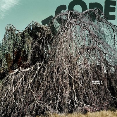 Wildbirds & Peacedrums - Heartcore (CD) - ALT/INDIE *NEW*
