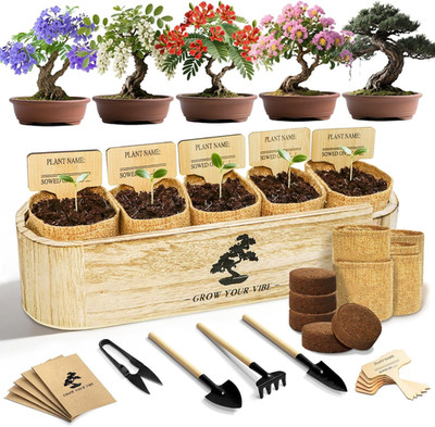 Bonsai Tree Kit for Beginners - Unique DIY Japanese Bonsai Trees,Crafts for Adul