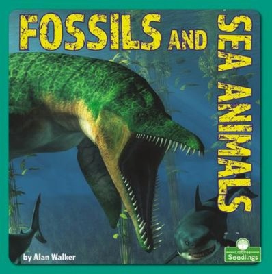 Fossils and Sea Animals by Walker, Alan [Paperback]