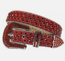 New Sparkly Red Rhinestone 44”  Belt/Strap perfect for a holidays/valentines ￼