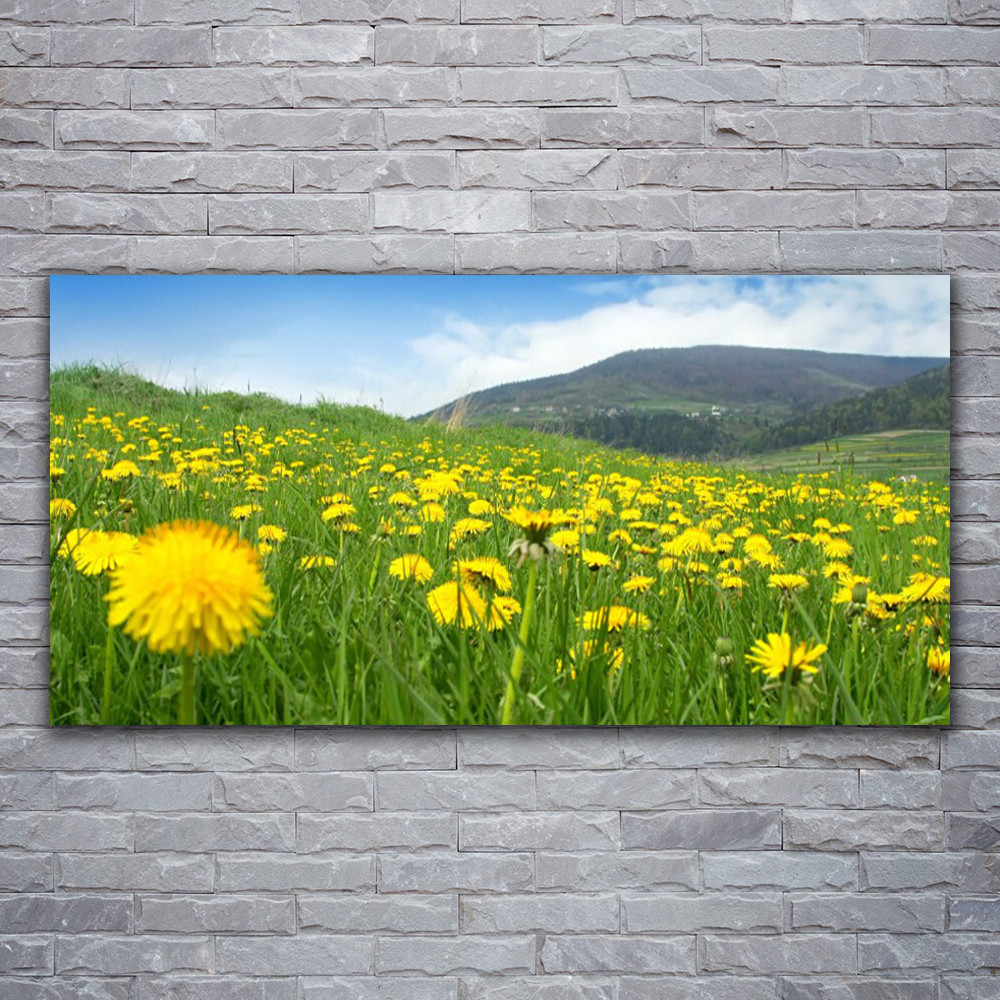 Tableau sur verre acrylique Tulup Pissenlit design haut de gamme 120x60