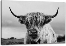 Highland Cow Wall Art Canvas Print Black and White Animal Canvas Picture Framed