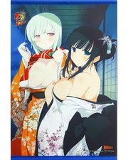Senran Kagura 2 Naraku Ikaruga B2 Tapestry 3DS Game Limited Bonus