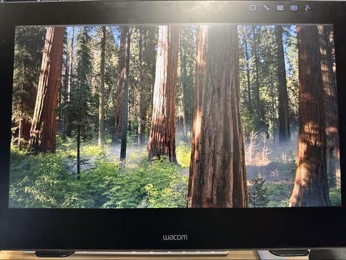 Wacom DTH-1620/K0 Cintiq Pro 16 Inch Pro Graphic LCD Pen Tablet - 第 9/9 張圖片