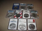 Collection Of Ten United States Silver Eagles PCGS & NGC All Graded MS69