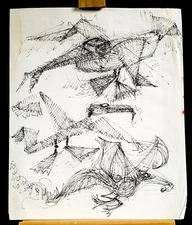 Fantasy Birds 14" X 17" Ink Drawing Steam Punk Drawing WGMutch Seattle