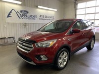 2019 Ford Escape SE 4WD