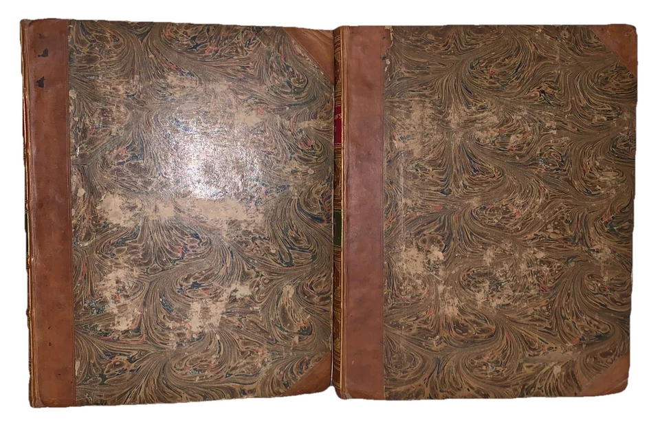 1803, 1st, 2 Vol, THE SPORTSMAN'S CABINET, DOG BREEDS AND FIELD SPORTS, w PLATES - Image 2 of 4