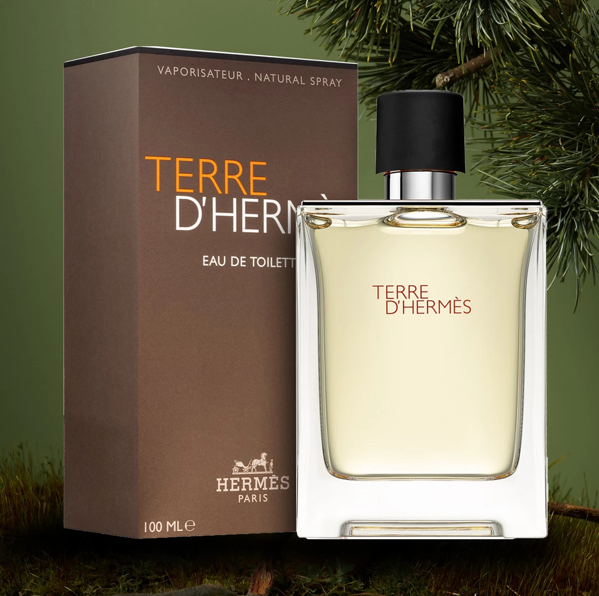 HERMÈS Terre d' Hermès Eau de Toilette for Men for sale | eBay