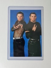 Merlin 2001 WWF Hardy Boyz Mega Photo Sticker Jeff Hardy Matt Hardy