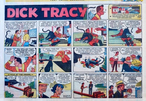 Dick Tracy von Chester Gould - großer halbseitiger farbiger Sonntagscomic - 11. Juni 1961