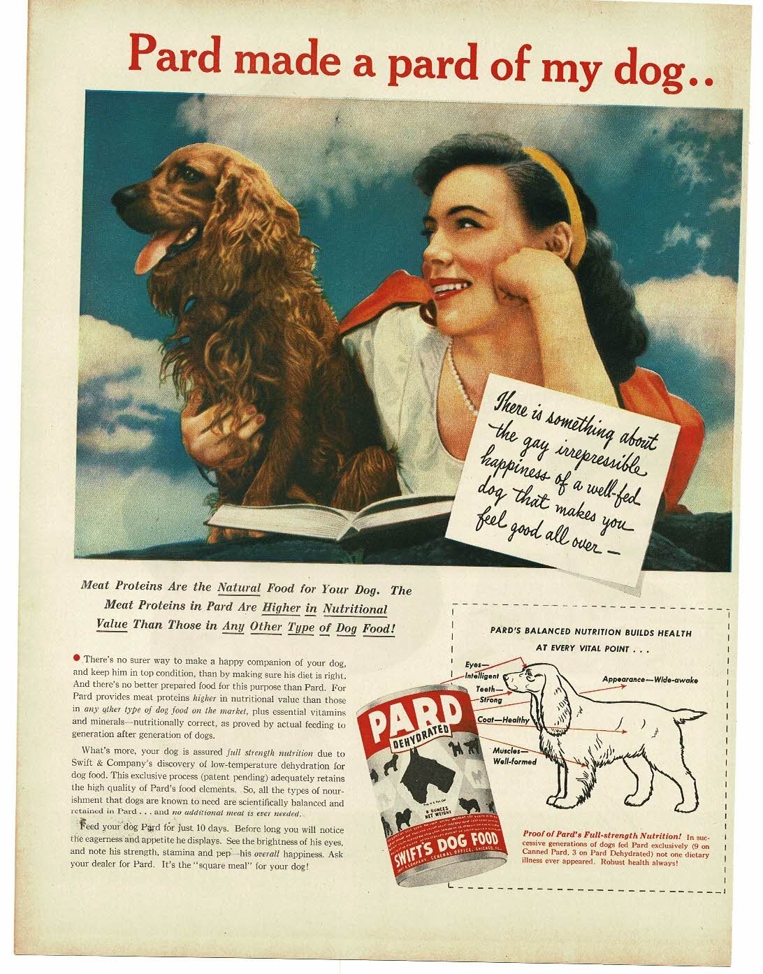 Woman Reading With Cocker Spaniel Vintage Print Ad Swift