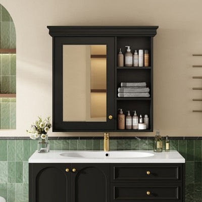 Bathroom Medicine Cabinet W Storage Organizer