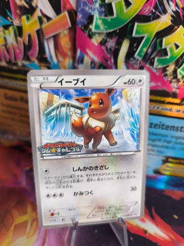 Pokemon Card Card Eevee Eevee BW Promo Stamp Black Star Japanese LP+
