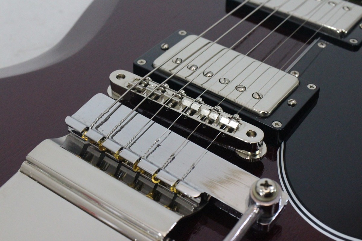 EDWARDS E-SG-110LT2 VT | eBay