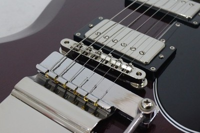 EDWARDS E-SG-110LT2 VT | eBay