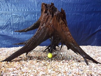 XXX-Large Driftwood 18''x30''x20'' Aquarium Terrarium Reptile Natural Art
