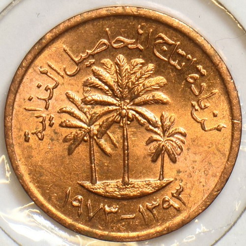 United Arab Emirates 1973 AH1393 Fil 904163 combine shipping - 第 1/2 張圖片