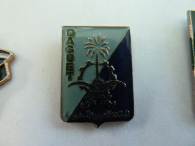Militaria - Pin's à vis Opération Daguet armee de l'air