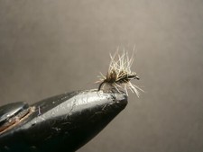 1 DOZEN DRY FLIES GRIFFITHS GNAT FOR FLY FISHING--SEC 26