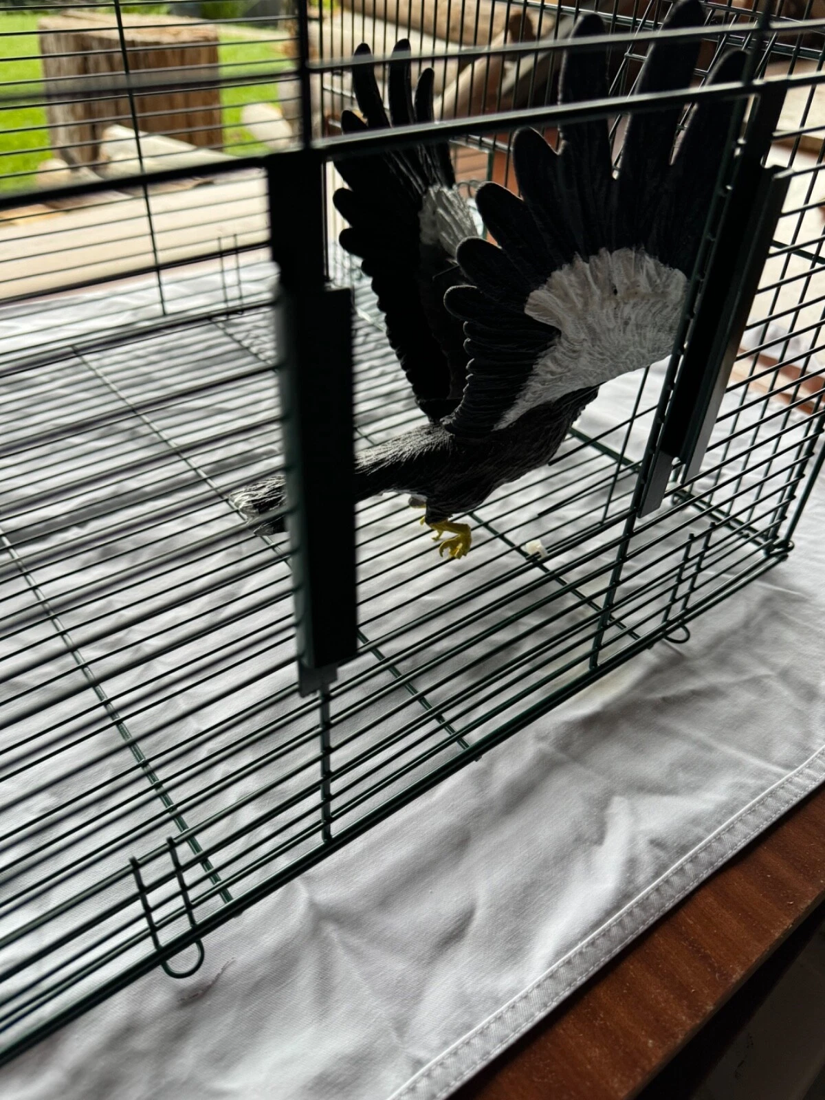 Picture 19 of 24