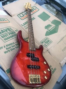 Chatting Bird | eBay