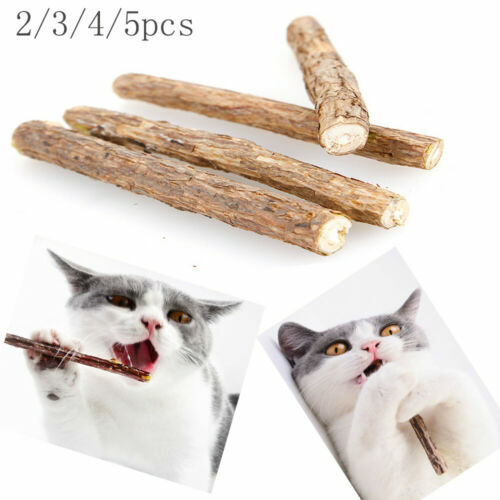 Jouets Pour Chat Ebay