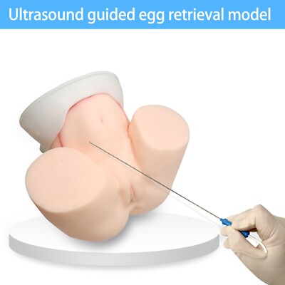Uterine Occlusion Model is an Innovation in Gynecological Training and Research