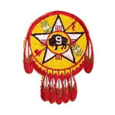 Vintage REGION 9 Warshield Badge PATCH BSA Ca...