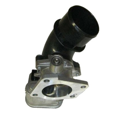 Ducato Ponticello Daily Massa Boxer Air Doser Inlet Butterfly Bodies