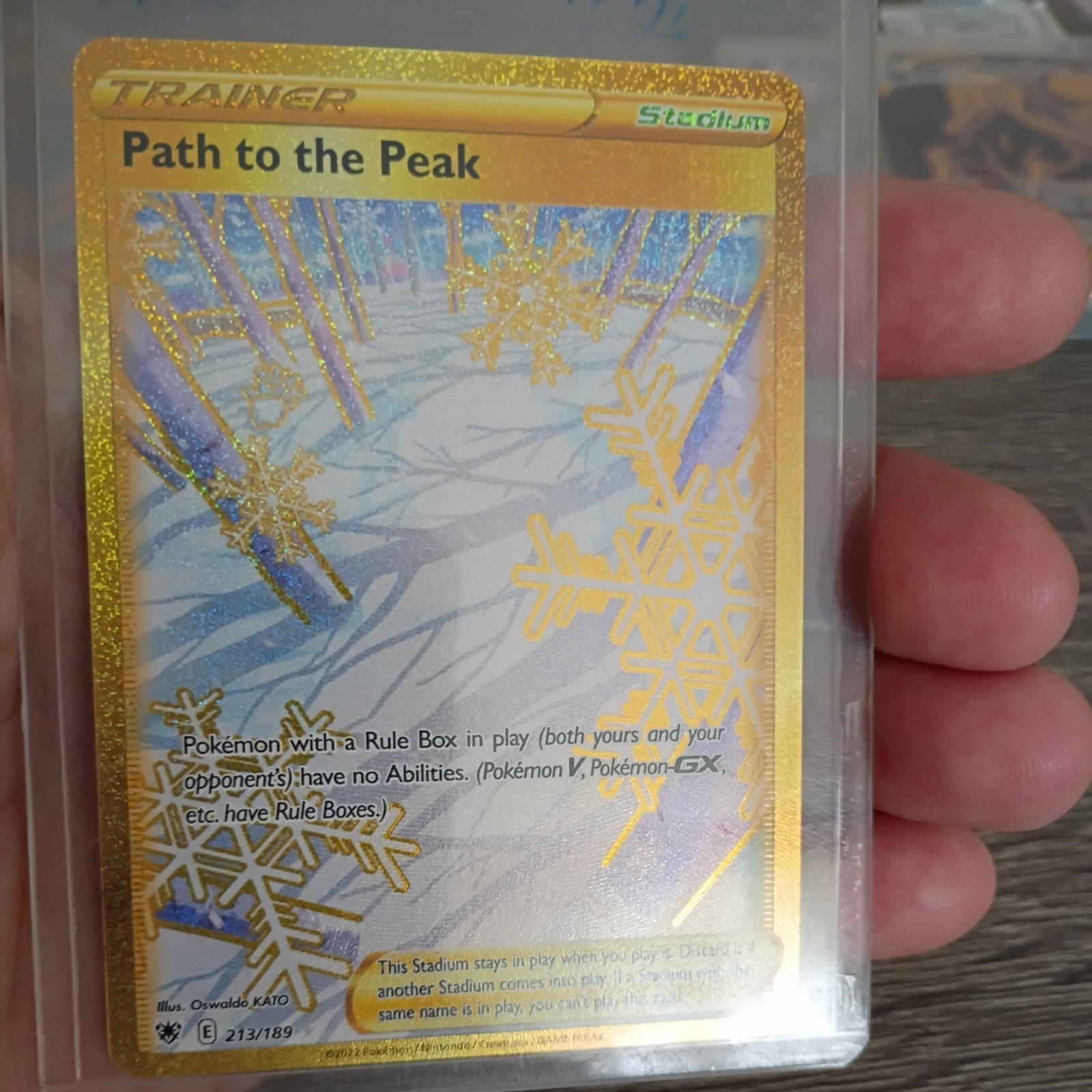 Path to the Peak (Secret Rare) 213/189 Pokemon SWSH10: Astral Radiance, NM 