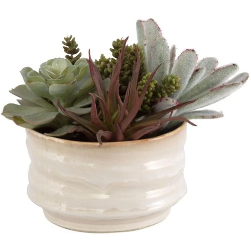 Uttermost 60209 Mesa Succulent Green with Textured Tan Glaze Succulent Accent - Picture 2 of 6